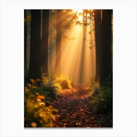 Path Through The Forest 3 Canvas Print