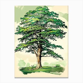 Beech Tree Storybook Illustration 1 Canvas Print