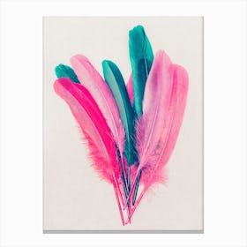 Feather Bouquet Canvas Print