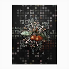 Vintage Shipova Botanical Wreath on Dot Bokeh Pattern n.0476 Canvas Print