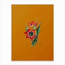 Vintage Red Strong Smelling Tulip Botanical on Sunset Orange n.0673 Canvas Print