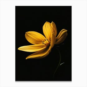 Yellow Flower On Black Background 5 Canvas Print