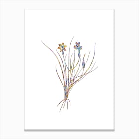 Stained Glass Golden Blue eyed Grass Mosaic Botanical Illustration on White n.0084 Canvas Print