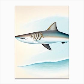 Whitetip Reef Shark Vintage Canvas Print
