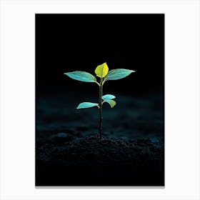 Small Green Plant On Black Background 7 Canvas Print