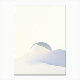 Snow Globe Canvas Print