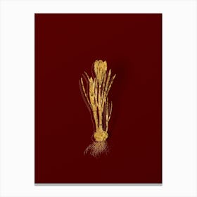 Vintage Spring Crocus Botanical in Gold on Red n.0152 Canvas Print