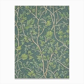 Coffeetree tree Vintage Botanical Canvas Print