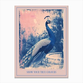 Peacock In The Fountain Pink & Blue Cyanotype Inspired 1 Poster Canvas Print