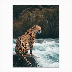 Leopard In The River Canvas Print