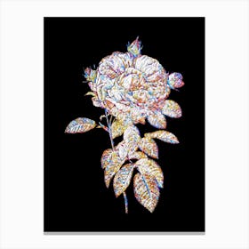 Stained Glass Giant French Rose Mosaic Botanical Illustration on Black n.0131 Canvas Print