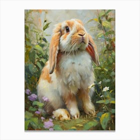French Lop Rabbit Painting 1 Canvas Print