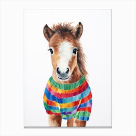 Baby Animal Wearing Sweater Horse 1 Canvas Print