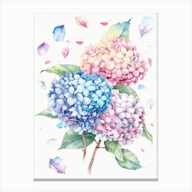 Hydrangea Canvas Print