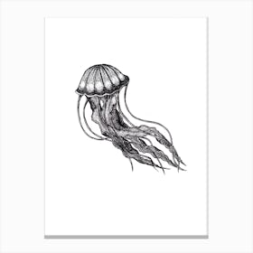 Little Jellyfish Canvas Print