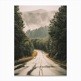 Road To Norway Forest Canvas Print