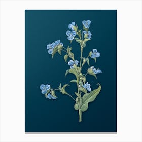 Vintage Commelina Tuberosa Botanical Art on Teal Blue Canvas Print