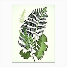 Maidenhair Spleenwort 1 Vintage Botanical Poster Canvas Print