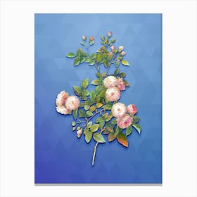 Vintage Pink Baby Roses Botanical Art on Blue Perennial n.0614 Canvas Print
