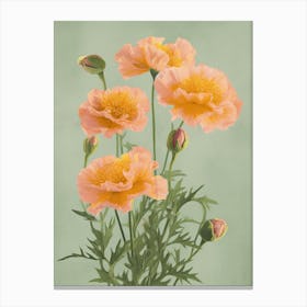 Marigold Flowers Acrylic Painting In Pastel Colours 11 Canvas Print