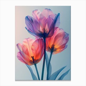 Tulips 20 Canvas Print