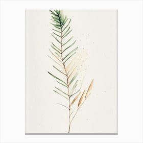 Pine Leaf Minimalist Watercolour Canvas Print
