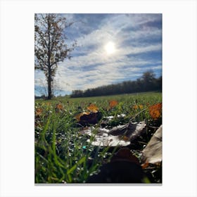 Autumn Leaves On Grass Canvas Print