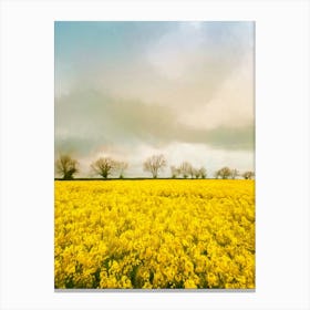 Fields Of Gold Canvas Print