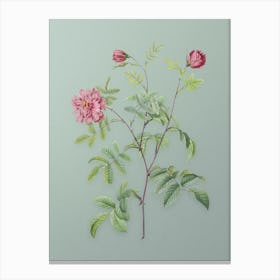 Vintage Cinnamon Rose Botanical Art on Mint Green n.0512 Canvas Print