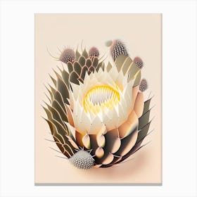 Melocactus Cactus Neutral Abstract Canvas Print