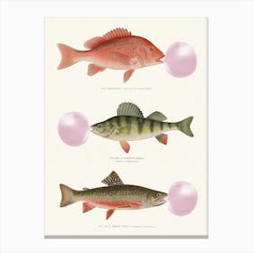 Bubblegum Fish Green & Pink Canvas Print