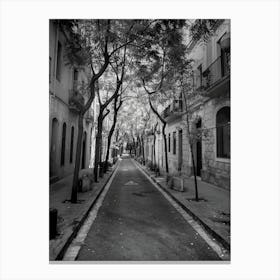 Street In Barcelona Canvas Print