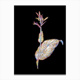 Stained Glass Indian Shot Mosaic Botanical Illustration on Black Canvas Print