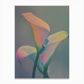 Iridescent Flower Calla Lily 1 Canvas Print