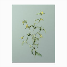 Vintage Commelina Africana Botanical Art on Mint Green n.0894 Canvas Print