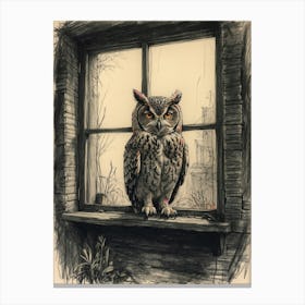 Owl In The Window Canvas Print