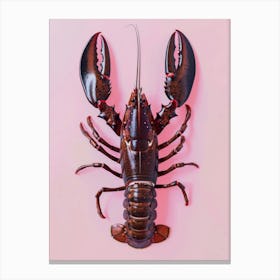 Lobster On Pink Background Canvas Print