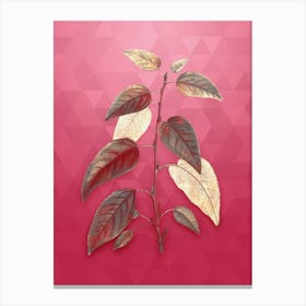 Vintage Balsam Poplar Leaves Botanical in Gold on Viva Magenta n.0471 Canvas Print