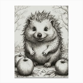 Hedgehog 13 Canvas Print
