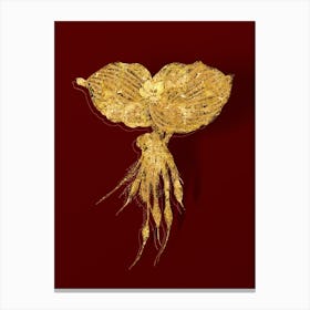 Vintage Sand Ginger Botanical in Gold on Red n.0555 Canvas Print