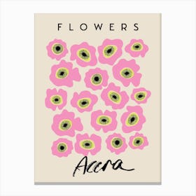 Pink Flower In Full Bloom Canvas Print