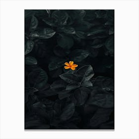 Black Flower 6 Canvas Print