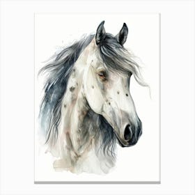 Horse Watercolor Painting 1 Canvas Print