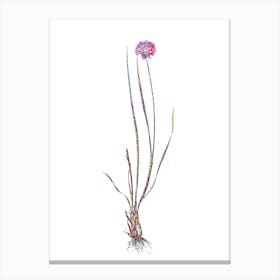 Stained Glass Allium Foliosum Mosaic Botanical Illustration on White n.0172 Canvas Print