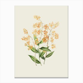 Orange Orchids Canvas Print