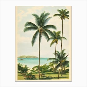 Half Moon Bay Antigua Vintage Canvas Print