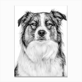 Black And White Dog Portrait Canvas Print