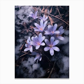 Beautiful Winter Flowers 52 Canvas Print