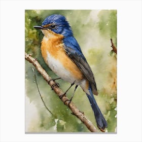 Mangrove Blue Flycatcher 1 Canvas Print