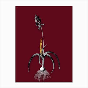 Vintage Common Bluebell Black and White Gold Leaf Floral Art on Burgundy Red n.0615 Canvas Print